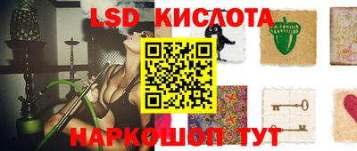 шишки Берёзовский