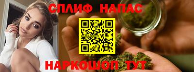 шишки Берёзовский