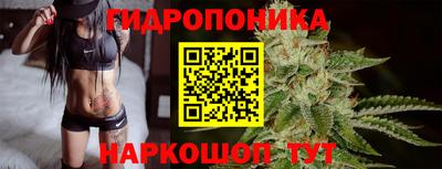 скорость Бийск