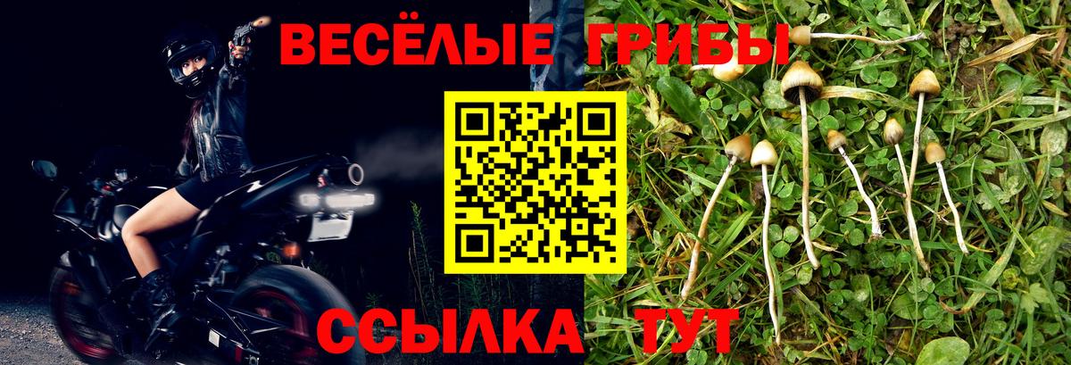 Галлюциногенные грибы мухоморы  Псилоцибиновые грибы MAGIC MUSHROOMS  Зима  Вход с VPN 