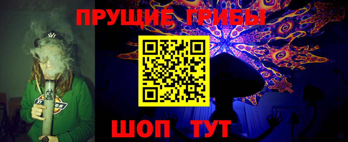 Псилоцибиновые грибы мухоморы Зима